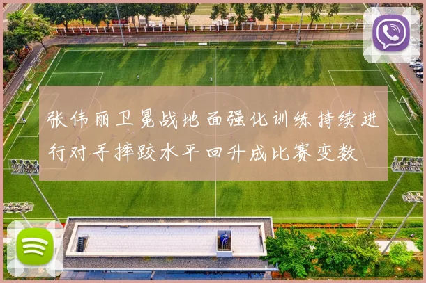张伟丽卫冕战地面强化训练持续进行对手摔跤水平回升成比赛变数